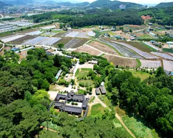 서산 유기방 가옥 수선화 축제_9