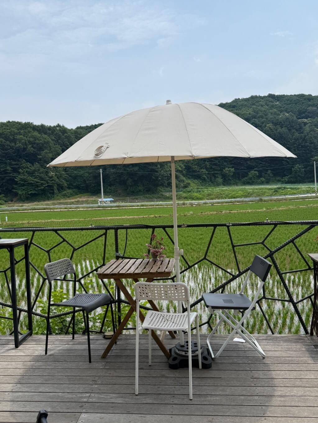 용인 딜라의정원 논뷰가 보이는 야외 테라스 좌석