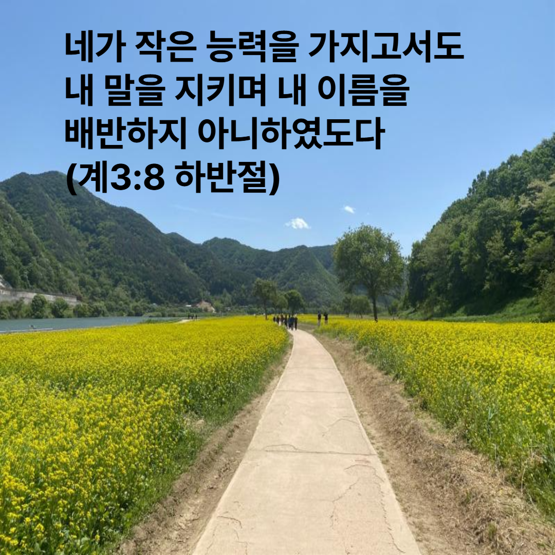 계3:8 하반절
