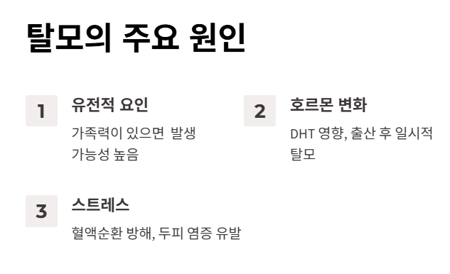 탈모의 주요 원인