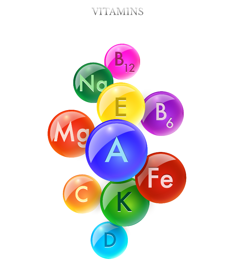 비타민