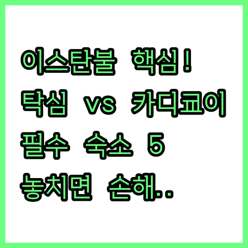 이스탄불 탁심 카디쿄이 최고의 숙소 ..