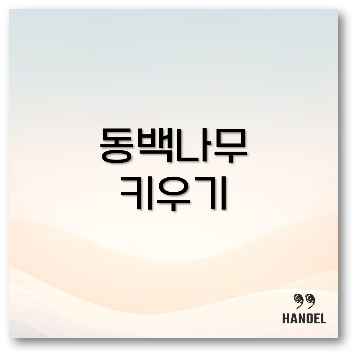 동백나무