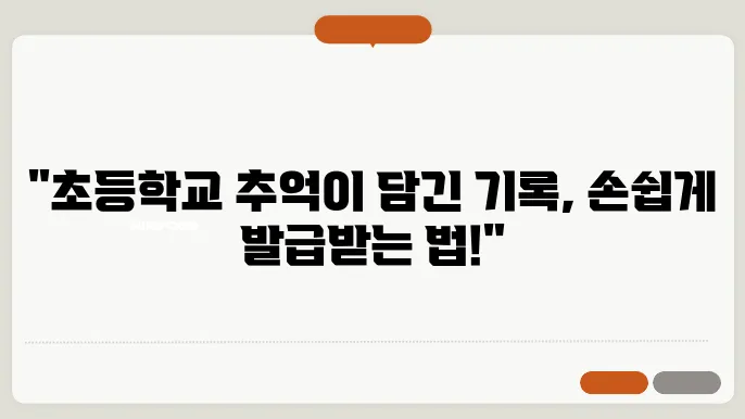 초등학교 생활기록부 발급