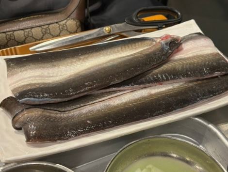 장어즙 효능 관련 이미지