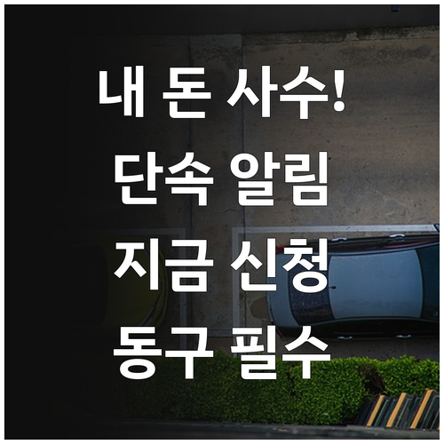 주정차 과태료 방지법 대전 동구 단속..