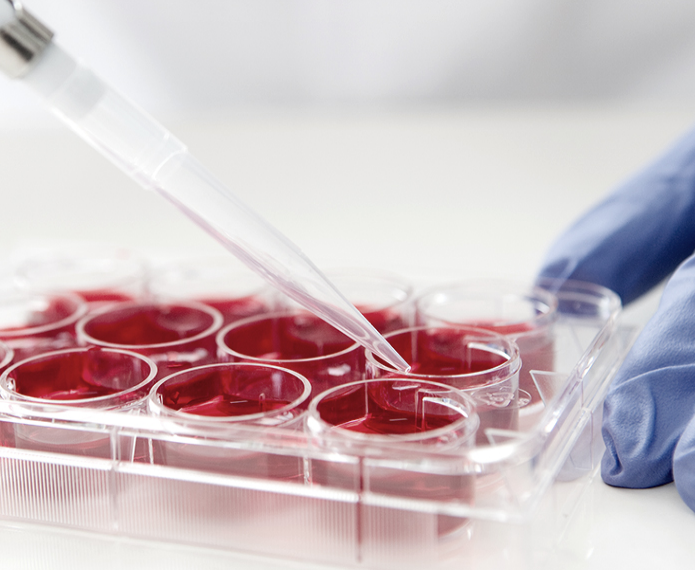 엘셀라퓨틱스_배양