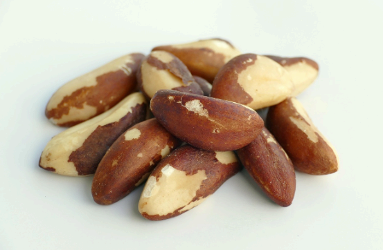 브라질너트 이미지