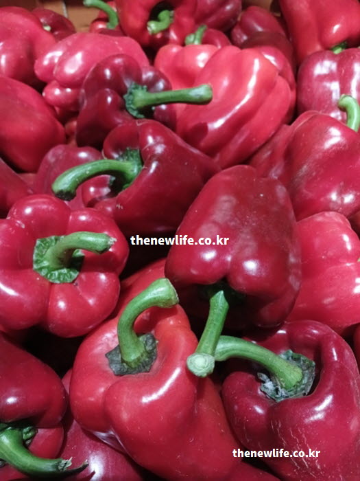 피망 효능을 높이기 위한 조리법에 도움이 되는 실사진