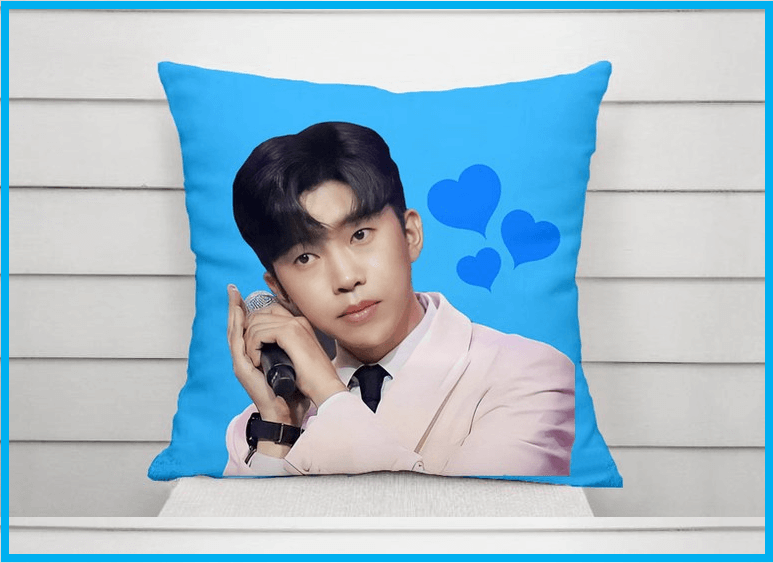 임영웅 쿠션 및 담요 최저가 구매 / 부모님 효도 선물 추천