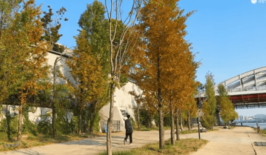 서울 도심 속 단풍 카페거리 추천! 낭만 가득한 가을 데이트 코스 4선