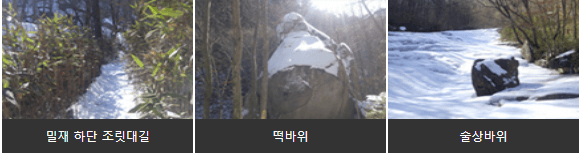 대야산풍경
