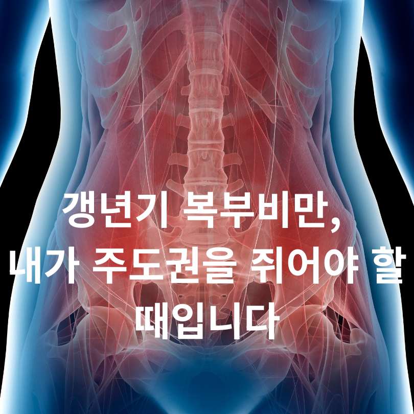 갱년기 여성 복부비만 원인과 해결책