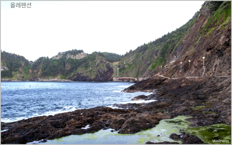 올레펜션 장점 2