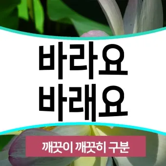 바래 바라 뜻 맞춤법 차이 맞는 표현은_15