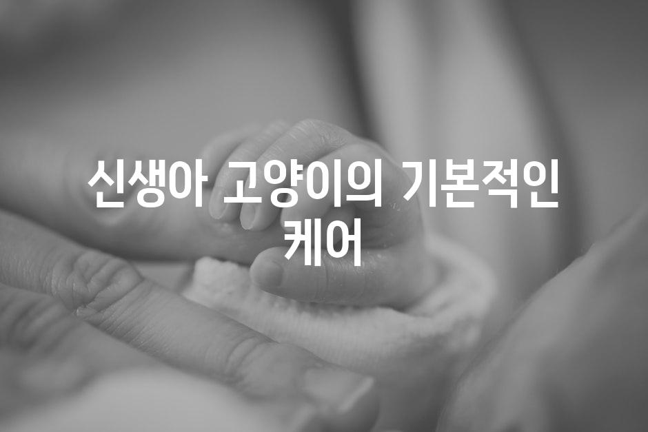 신생아 고양이의 기본적인 케어