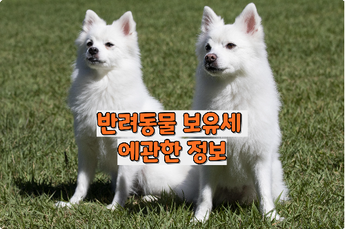 반려견보유세
