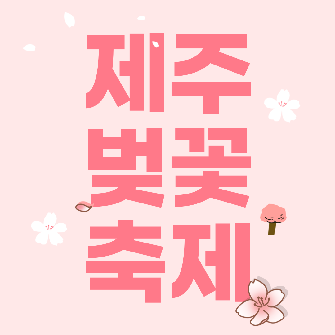 제주벚꽃축제