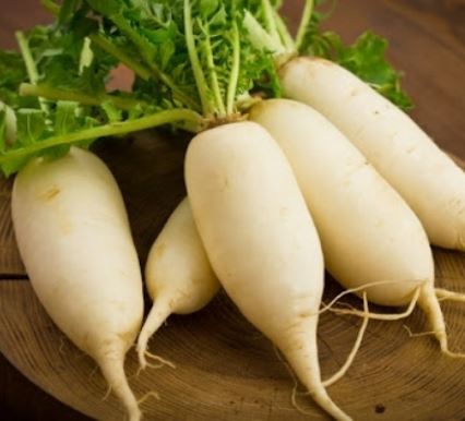 위에 좋은 음식