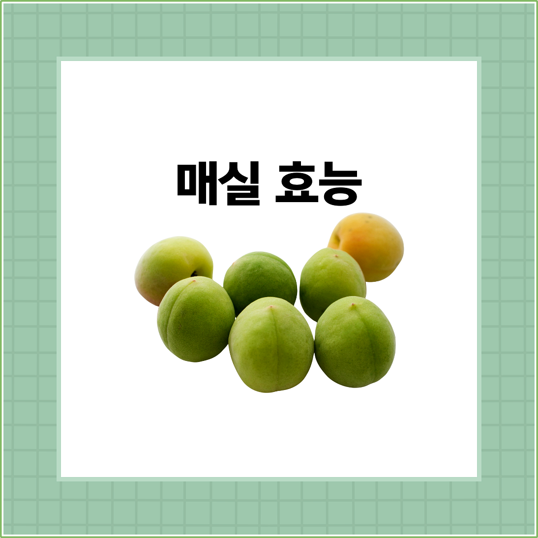 매실 효능