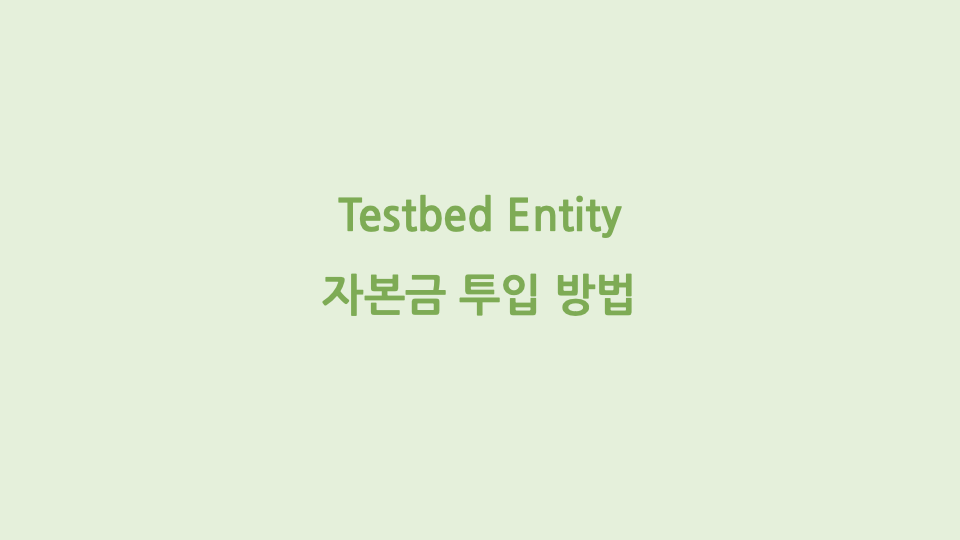 Testbed Entity 자본금투입방법