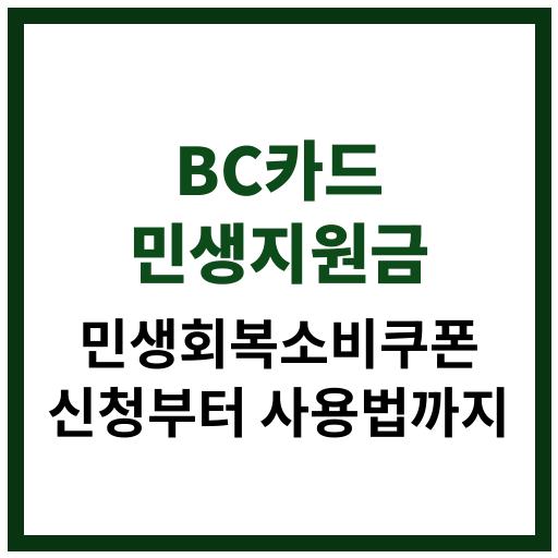 정부의 민생회복 소비쿠폰 정책 중 하나인 BC카드 민생지원금의 신청 방법과 사용처 안내