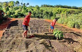  부온마트옷 여행 꼭 봐여 할 장소들 사진(출처:인터파크/트립어드바이저/vietnam.vnanet.vn)