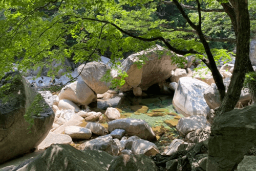 공룡01
