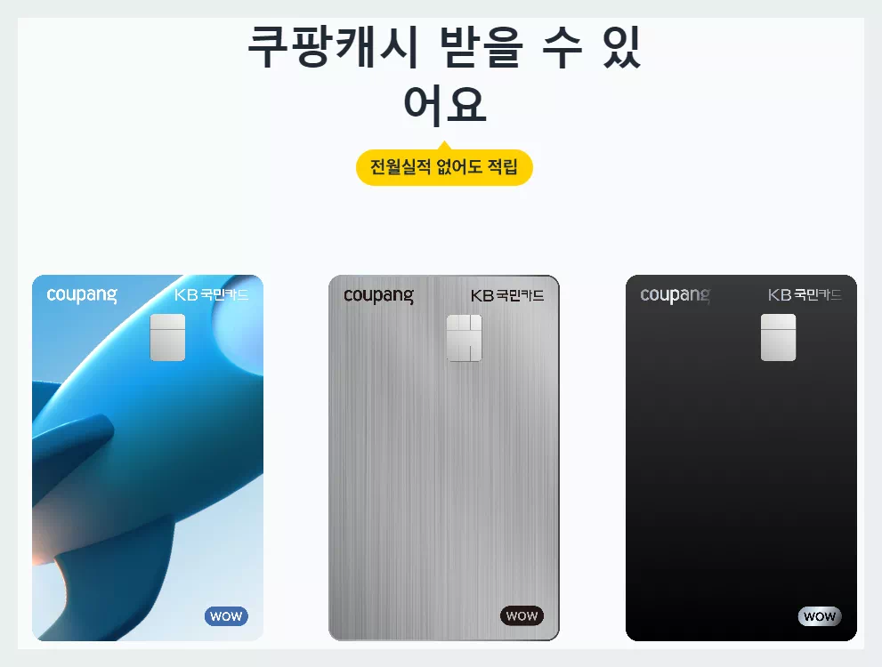 쿠팡 kb국민카드