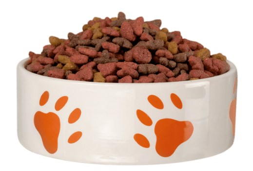 강아지 사료 추천 간식 선택 가이드