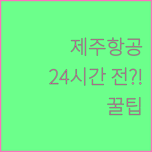 제주항공 온라인 체크인 24시간 전부..