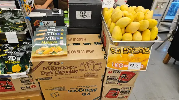 필리핀-보홀-버진아일랜드-석식-비빔밥-미역국