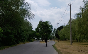 캐나다 토론토 아일랜드 여행