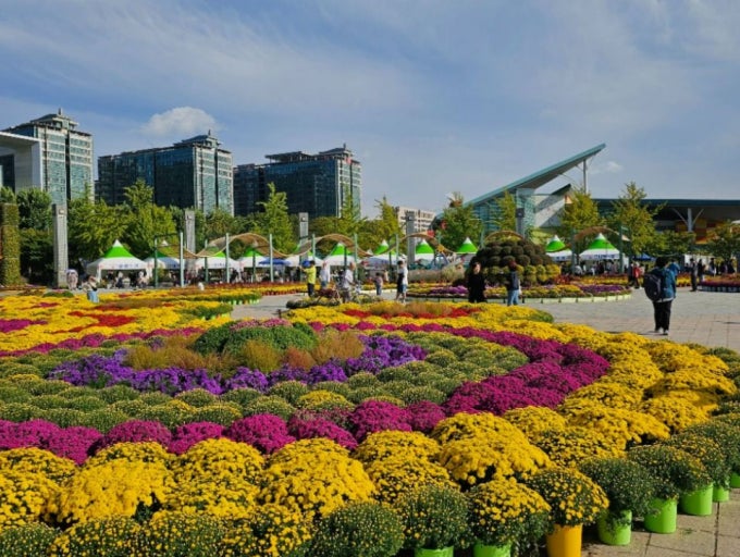 2025 고양 가을꽃 축제 일정 & 즐길거리 총정리 관련 사진