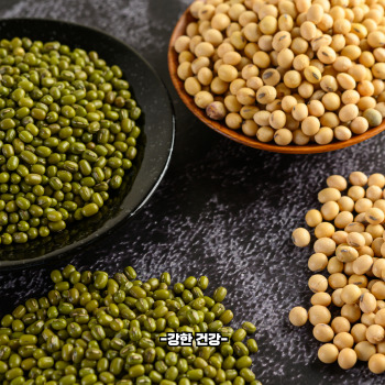 녹두 효능