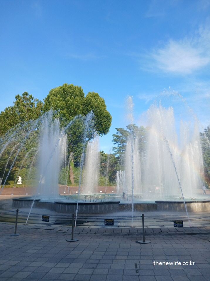 Central music fountain spraying water rhythmically in the park/ 공원 중앙에서 리듬감 있게 물줄기를 뿜는 음악분수