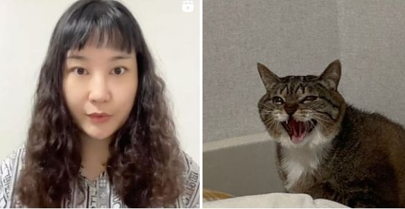 박지연 프로필