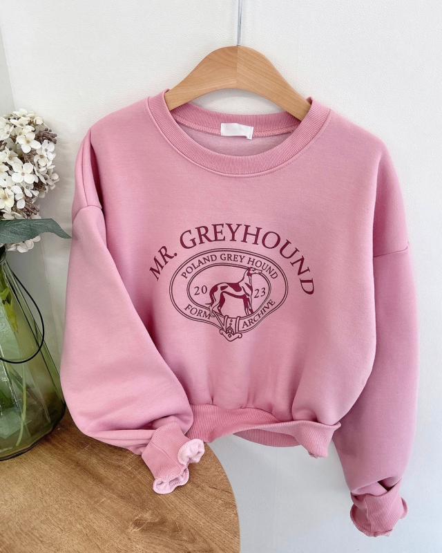 25일 타임 라방할인 하운드 레터링 프린팅 기모 루즈핏 크롭 라운드맨투맨