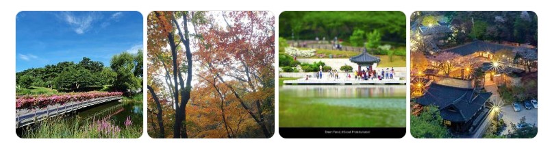 서울 강북구 북서울 꿈의 숲 사계절 풍경과 명소들