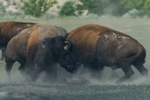 이혼소송 절차 변호사비용 기간 재산분할