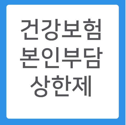 건강보험 본인부담 상한제 관련 사진