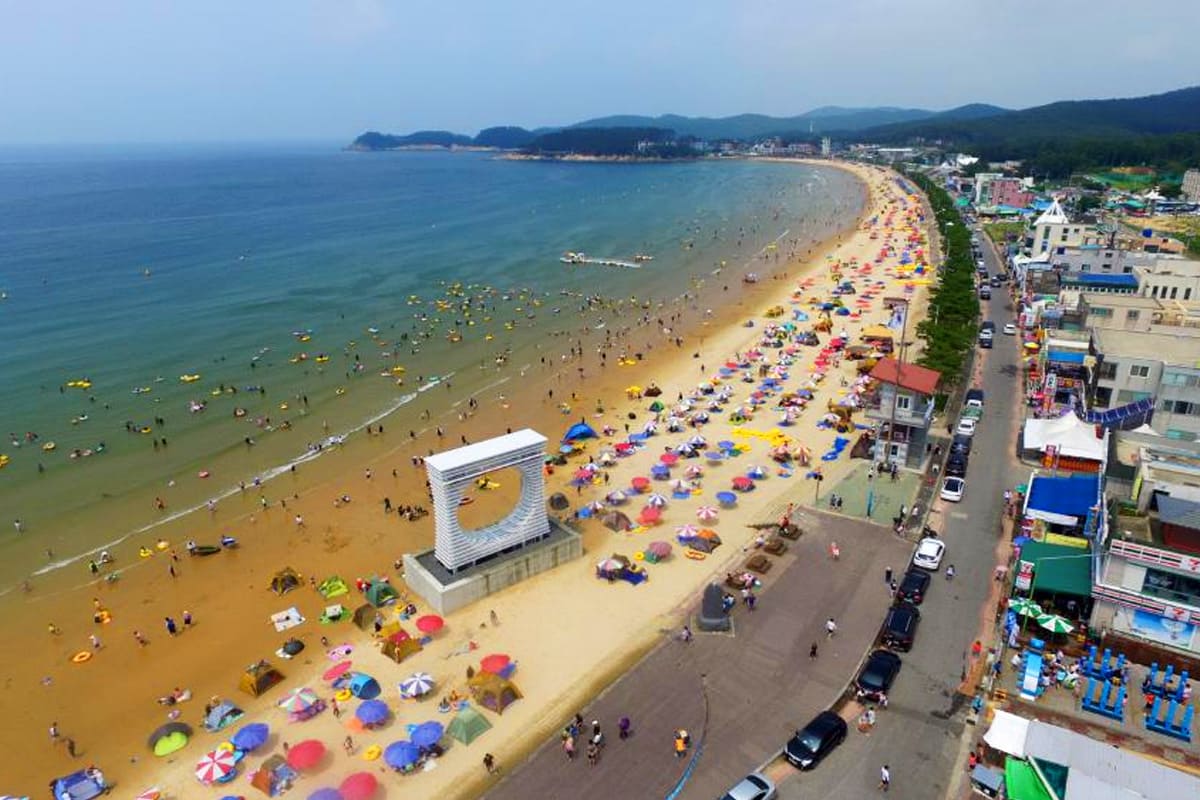 2025년 해수욕장 개장 일정 &amp; 주차장 정보 총정리