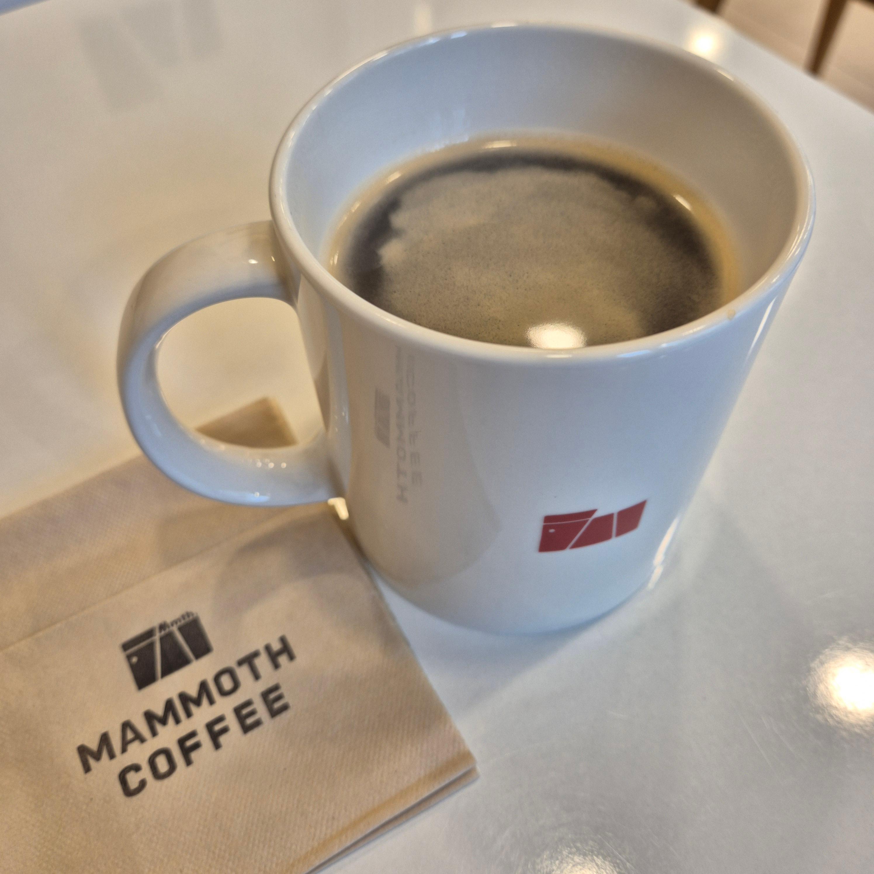 매머드디카페인