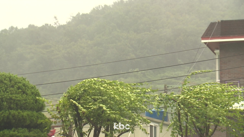 12호 태풍 경로 예상