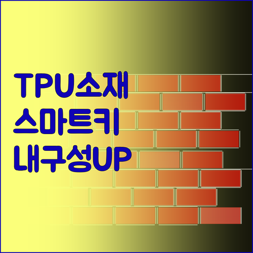 TPU 소재의 스마트 키 케이스로 내