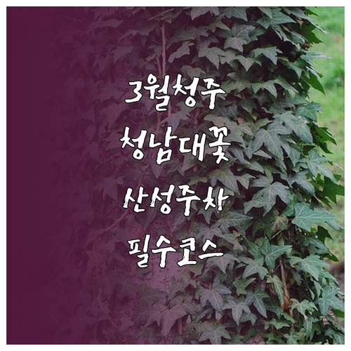 청주 상당구 3월 가볼만한곳 청남대 ..