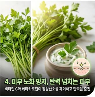 미나리 효능