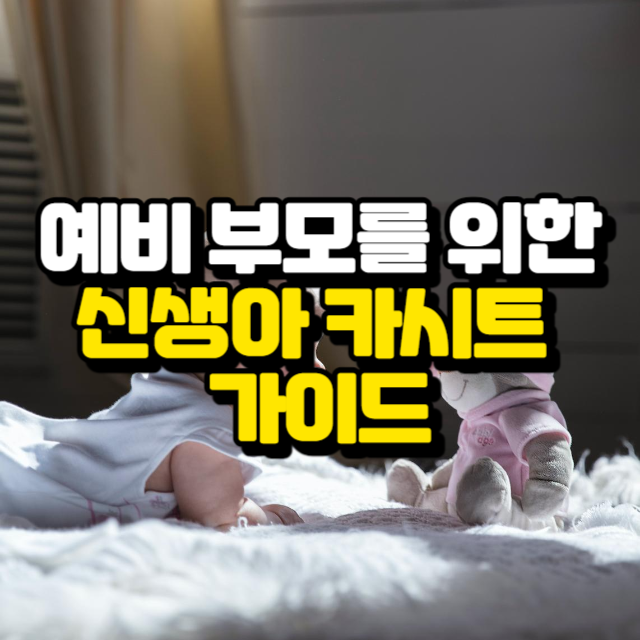 예비 부모를 위한 신생아 카시트 가이드