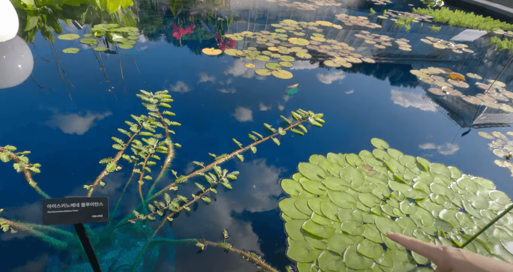 국립광릉수목원