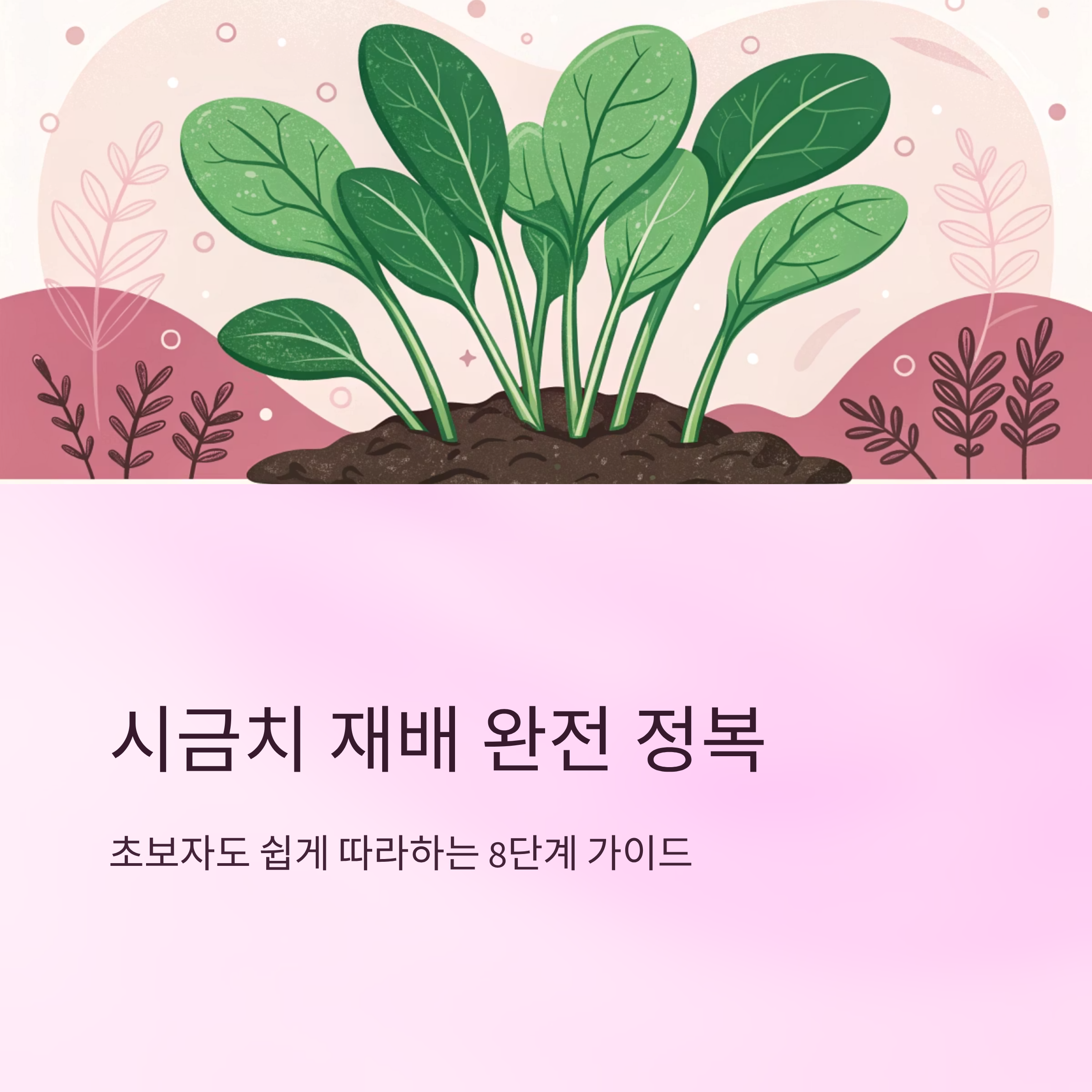 시금치 심는시기 초보도 쉽게 따먹는 재배팁